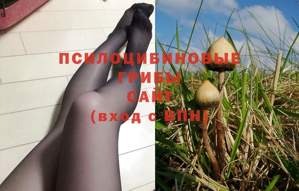молекула духа Лабытнанги