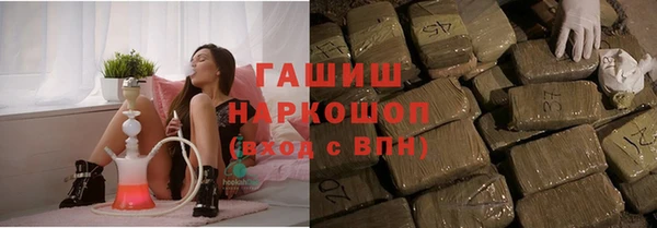 молекула духа Лабытнанги
