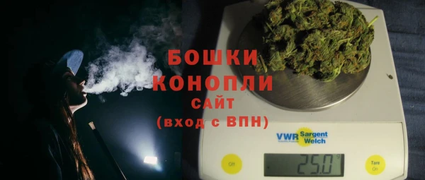 молекула духа Лабытнанги