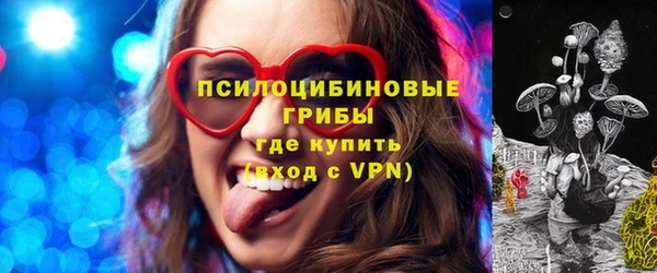 соль курить ск Ладушкин
