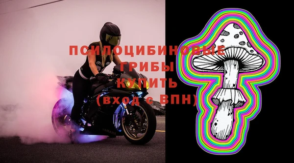соль курить ск Ладушкин