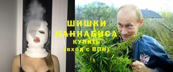 эйфоретик Липки