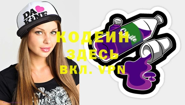 молекула духа Лабытнанги