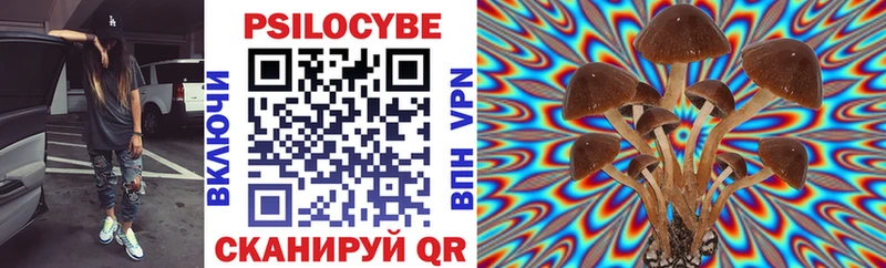 Псилоцибиновые грибы Psilocybe  Купить закладки  Сердобск 